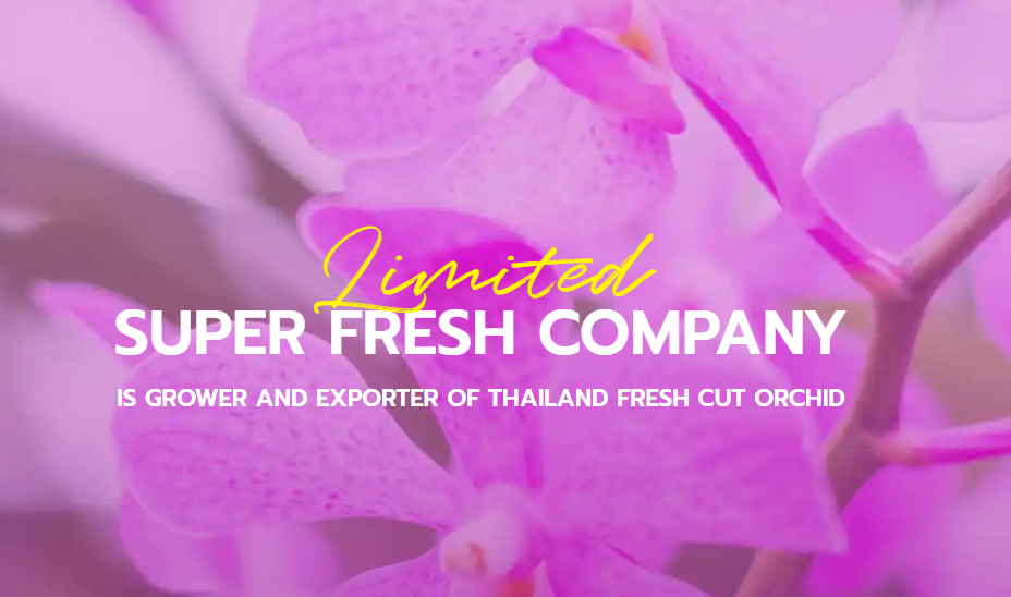Thai Super Fresh logo